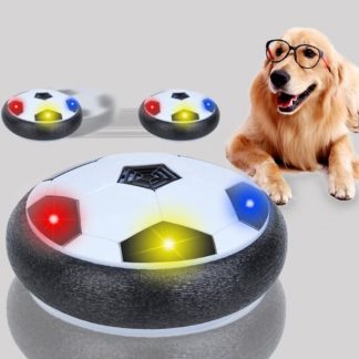 Gliding Disc with cool lighting effects 192 words ENG